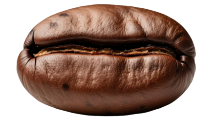 Macro close-up of a perfectly roasted coffee bean, ideal for cafe menus, product packaging, or coffee shop marketing materials