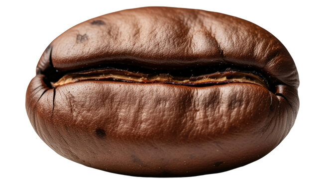 Macro close-up of a perfectly roasted coffee bean, ideal for cafe menus, product packaging, or coffee shop marketing materials