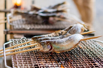 串に刺したニジマスを焼く