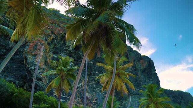 Playa Fronton las galeras  Samana Republica Dominicana