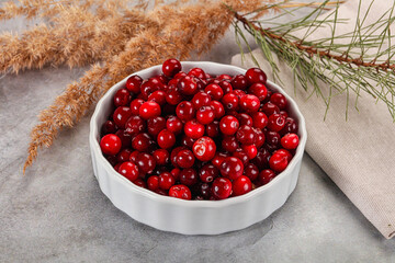 Ripe sweet sour cranberry heap