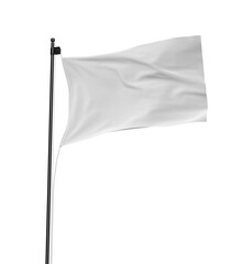 Cloth Flag