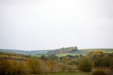 Serene autumn countryside scene with rolling hills painted with vibrant fall colors, lush trees, and a soft, overcast sky creating a tranquil and picturesque view of rural landscape.