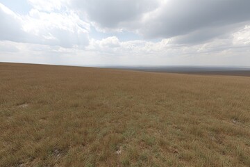 Fototapeta premium Grassy field meets cloudy sky, distant dark trees on horizon