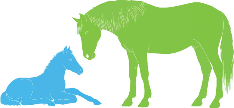 Gentle mother horse watches over her resting foal in a peaceful scene