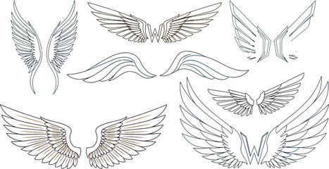 Collection of detailed line art angel wing illustrations in various styles
