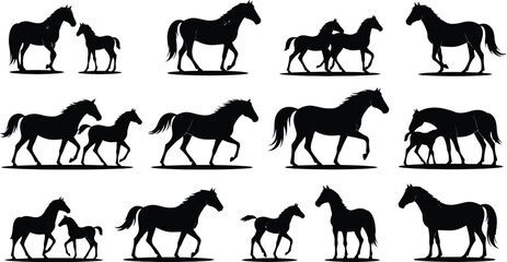 Majestic horses and foals in silhouette, showcasing grace and family bonds.