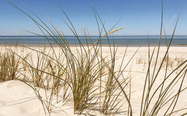 sand dunes on the beach, Baltic sea landscape