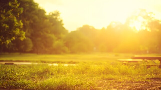 blurred. Tranquil park at sunset with warm golden hues, creating a peaceful natural landscape. inspiring travel planning, travel magazines, designed for travel destination branding.