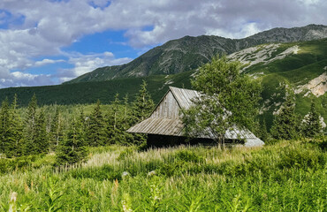 mountain landscape with trees and clouds, Tatras landscape national park 