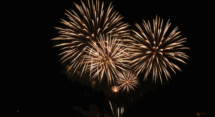 Spectacular firework display illuminating the night sky during a celebration