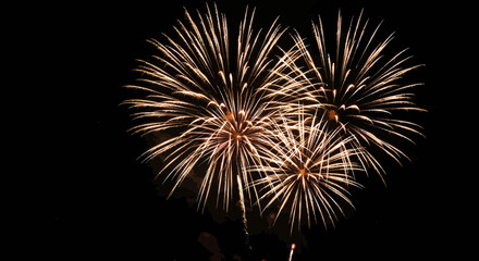 Spectacular fireworks display illuminates the night sky with bright bursts