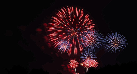 Spectacular Fireworks Display Illuminating the Night Sky with Vibrant Colors