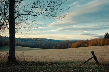 Autumnal vista of a field