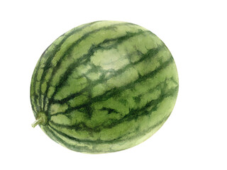 Watercolor illustration of watermelon fruits isolated on white background