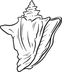 Hand drawn clipart illustration of seashell shell mollusc seaside shellfish 