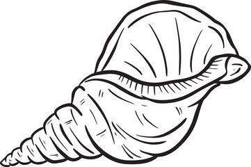Hand drawn clipart illustration of seashell shell mollusc seaside shellfish 