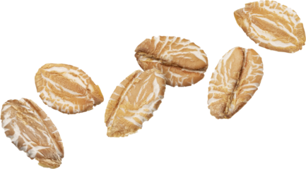 Oat flakes isolated