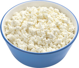 Bowl of cottage cheese isolated