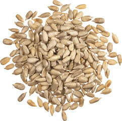 Peeled sunflower seeds isolated, top view