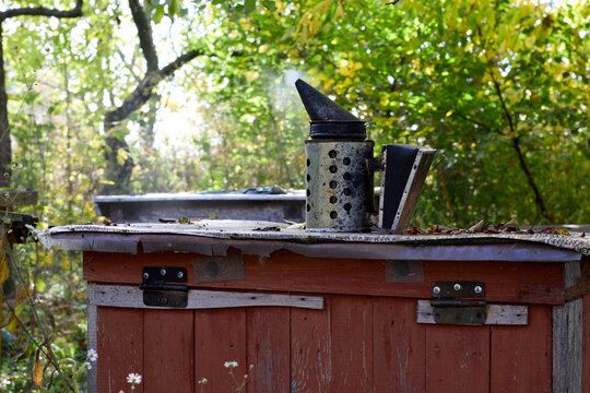 Bee smoker atop an old wooden beehive in a natural setting, with foliage, showcasing beekeeping, apiculture, the important role of bees in agriculture, and the harmony between nature and beekeeping.