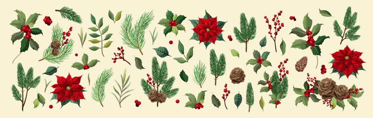 A large set of Christmas plant elements for decor. Vector.