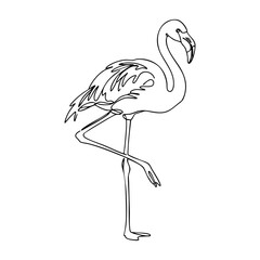 Obraz premium Vector line art of a standing flamingo drawn with elegant continuous lines, minimalist tropical bird illustration for modern design projects.