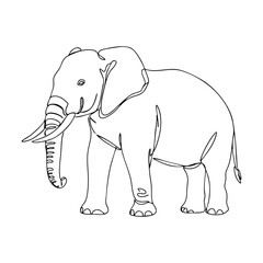 Fototapeta premium Vector line art of an elephant in side view, detailed minimalist animal illustration in continuous line style.