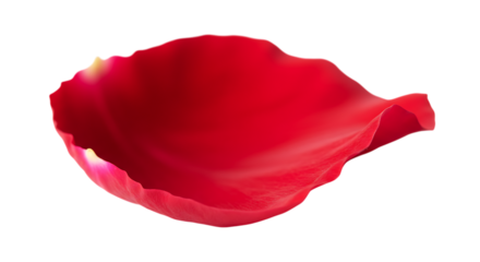 Single Red Rose Petal Isolated on White Background - Elegant and Romantic Detail