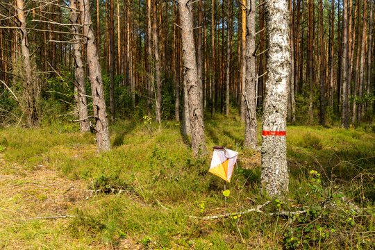 A prism marker and electronic composter at an orienteering control point