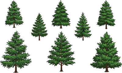 Evergreen coniferous tree illustration set, pine spruce fir collection, forest clipart, green foliage, outdoor vegetation, eco concept, landscape design, seasonal  © MDAMIRHAMJA