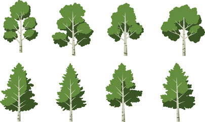 Mixed tree illustration set, birch aspen evergreen collection, diverse foliage clipart, forest element, outdoor vegetation, eco concept, seasonal artwork, 
