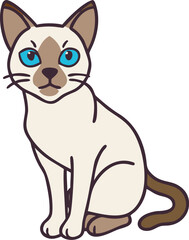 The funny little sphynx kitten pet is a hairless domestic cat and a baby animal that's isolated on a white background for this vector illustration