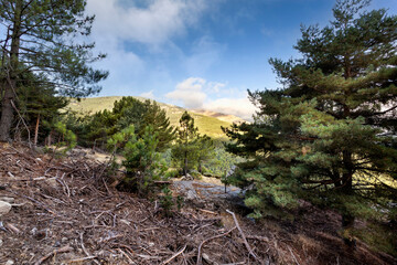 Sierra del Cabezo