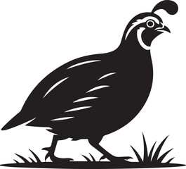 Fototapeta premium Bobwhite Quail Bird Black Silhouette Vector, Wildlife Illustration & Nature Design