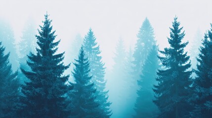 Obraz premium Misty Forest Trees: Nature Background, Pine Landscape View