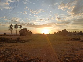 The view of the sunset on the expanse of rice fields that have been harvested with a golden brown color.