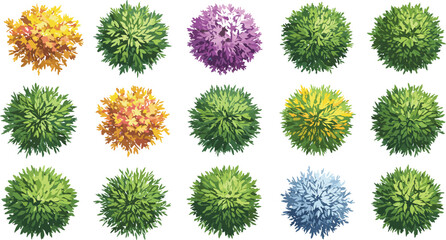 Bushes, shrubs, top view, colorful foliage, ornamental plants, landscaping design, garden decoration, seasonal variations, nature illustration, decorative greenery, vibrant textures