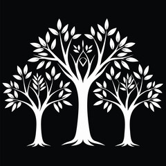 Three symmetrical white trees with delicate leaves stand against a stark black background beautifully