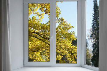 View from the window on yellow trees, landscape with autumn forest.  