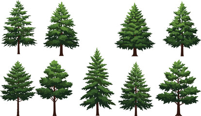 Coniferous tree illustration set, evergreen forest collection, pine spruce fir clipart, botanical design, nature landscape element, green foliage, outdoor vegetation