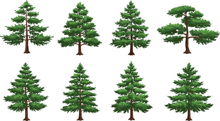 Coniferous tree illustration set, evergreen pine spruce fir collection, forest clipart, green foliage, outdoor vegetation, eco concept, seasonal artwork, landscape design