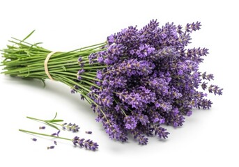 Bunch of lavender isolated on transparent background isolated on transparent background
