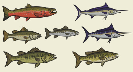 Colorful Illustration of Different Fish Species on Light Background for Marine Life