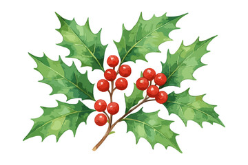 A vibrant watercolor illustration of holly leaves with red berries, perfect for the holiday season. A festive and colorful design symbolizing Christmas. Vector illustration.