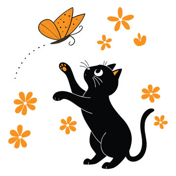 Cute Cat Plays With Butterfly