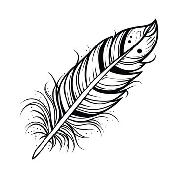 Detailed Black White Feather Art