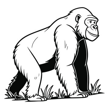 Elegant Line Art Gorilla Drawing