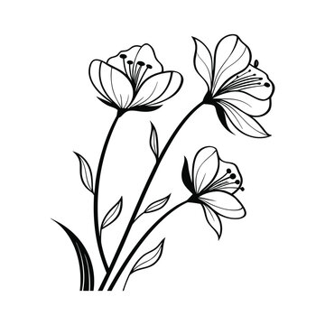 Modern Minimal Floral Art Print