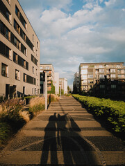 Fototapete bei efototapeten.de bestellen   